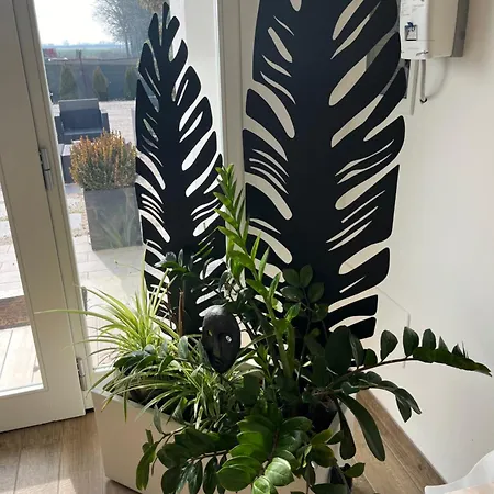 Affittacamere Ivy Park Medolla